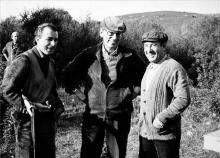 Miguel Delibes y el cine
